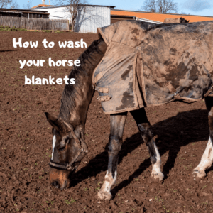 how to wash horse blankets