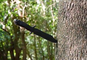 Black knife in tree