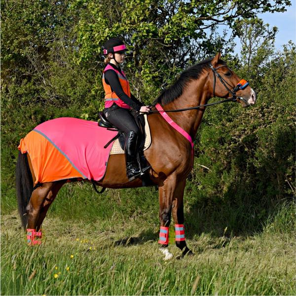 Equisafety Air Waistcoat Caution Young Horse Hi-Viz Flourescent Yellow/Pink 